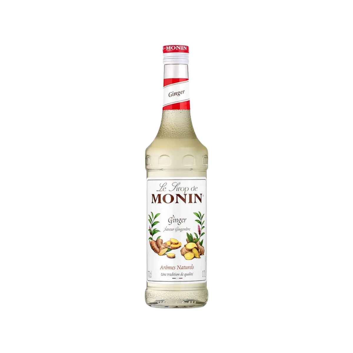 Monin Ginger