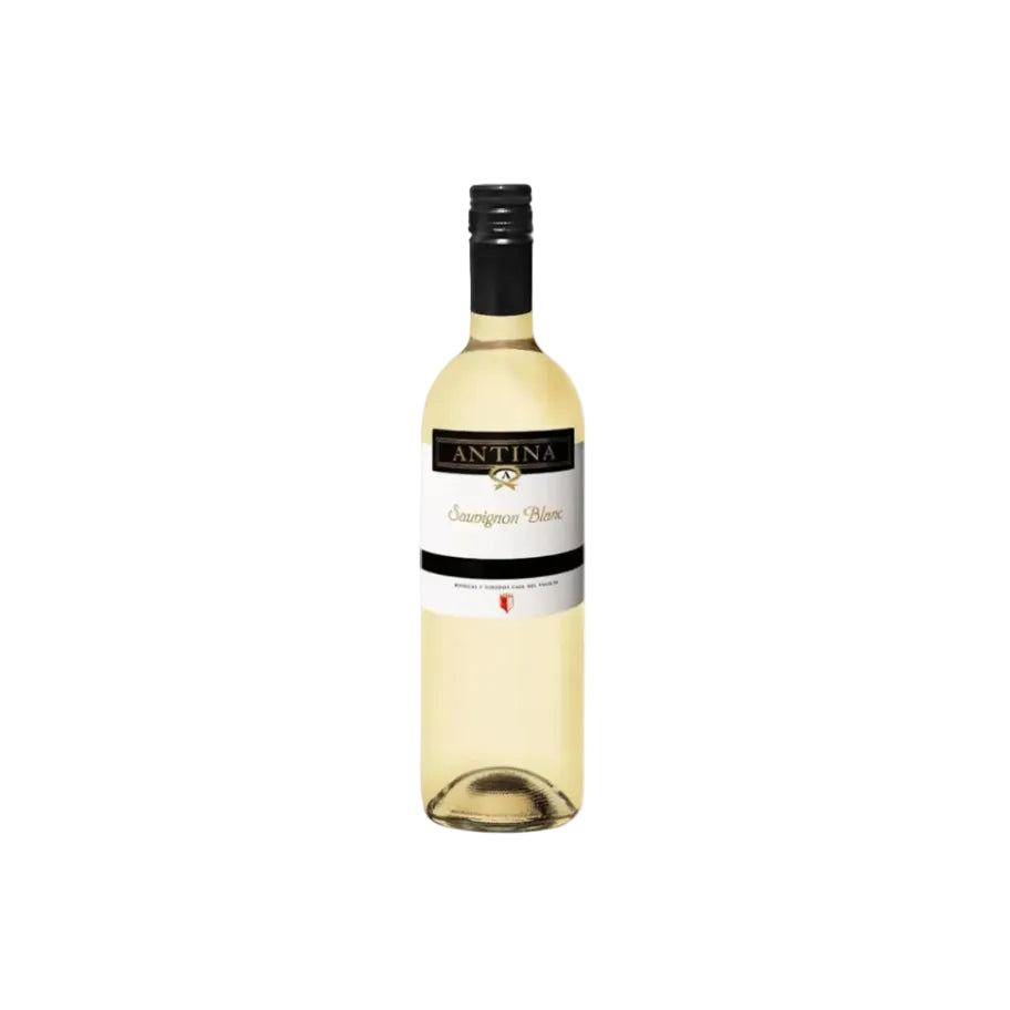 Sauvignon Blanc 'Antina', Tierra de Castilla, Casa del Valle